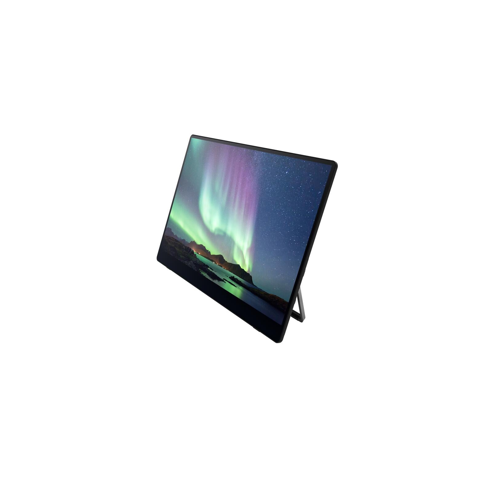 Ricoh 150 mobiler Multi-Touch Monitor 39,60cm (15,6') Ricoh 150 mobiler Multi-Touch Monitor 39,60cm (15,6')